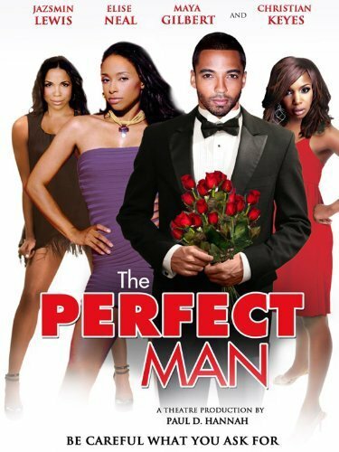 The Perfect Man (2011)