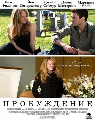 Пробуждение (2009)