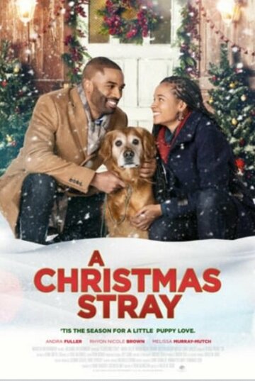 A Christmas Stray (2021)